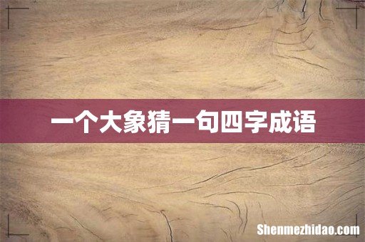 一个大象猜一句四字成语