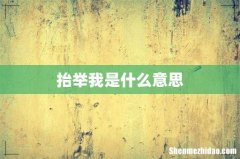 抬举我是什么意思
