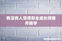 有没有人觉得郑业成长得像乔振宇