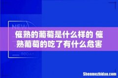 催熟的葡萄是什么样的 催熟葡萄的吃了有什么危害