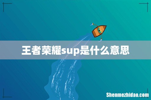 王者荣耀sup是什么意思