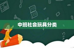 中班社会玩具分类