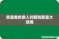 你是我的亲人刘娅和震宝大结局