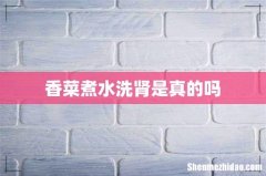香菜煮水洗肾是真的吗