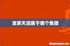 宜家天润属于哪个集团