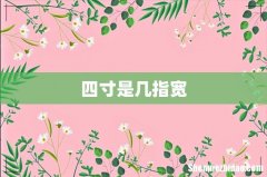 四寸是几指宽