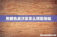 焦糖色皮沙发怎么搭配地毯