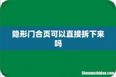 隐形门合页可以直接拆下来吗