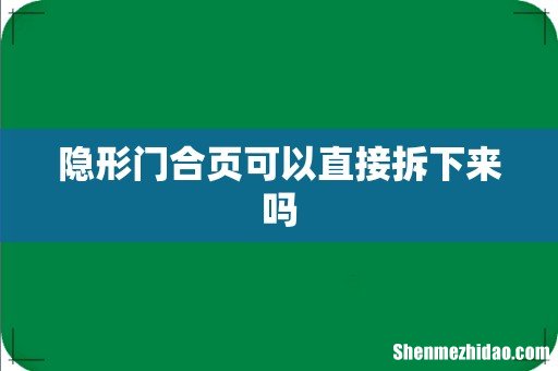 隐形门合页可以直接拆下来吗