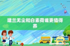 建兰无尘和白素荷谁更值得养