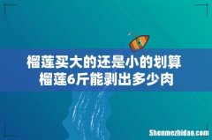 榴莲买大的还是小的划算 榴莲6斤能剥出多少肉