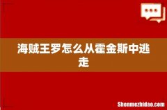 海贼王罗怎么从霍金斯中逃走