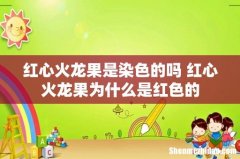 红心火龙果是染色的吗 红心火龙果为什么是红色的