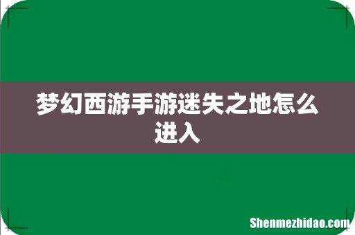 梦幻西游手游迷失之地怎么进入