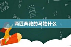 两匹奔驰的马姓什么
