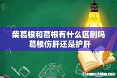 柴葛根和葛根有什么区别吗 葛根伤肝还是护肝