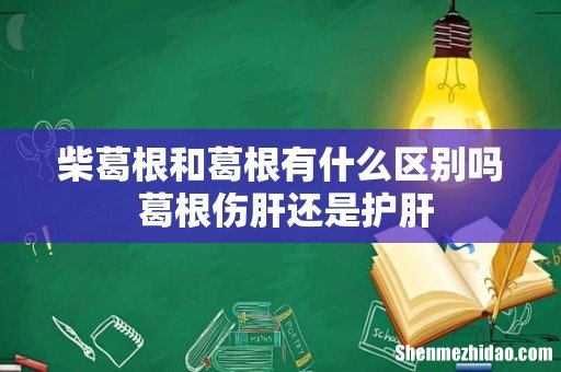 柴葛根和葛根有什么区别吗 葛根伤肝还是护肝