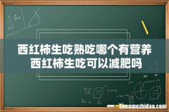 西红柿生吃熟吃哪个有营养 西红柿生吃可以减肥吗