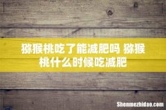 猕猴桃吃了能减肥吗 猕猴桃什么时候吃减肥