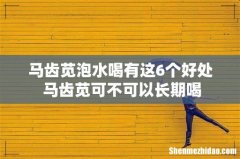 马齿苋泡水喝有这6个好处 马齿苋可不可以长期喝