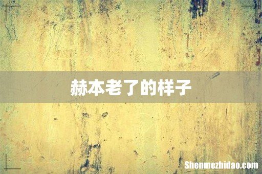 赫本老了的样子