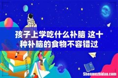 孩子上学吃什么补脑 这十种补脑的食物不容错过