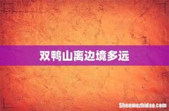 双鸭山离边境多远