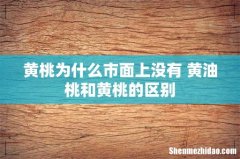 黄桃为什么市面上没有 黄油桃和黄桃的区别