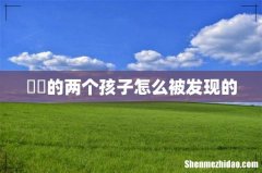 嫪毐的两个孩子怎么被发现的