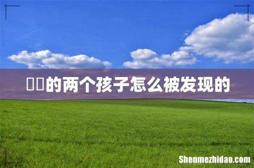 嫪毐的两个孩子怎么被发现的