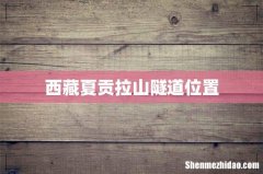 西藏夏贡拉山隧道位置
