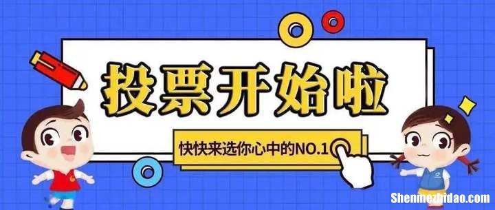 沈阳微信人工投票怎么投价格多少钱一票