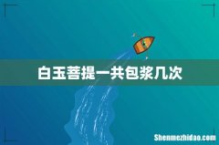 白玉菩提一共包浆几次