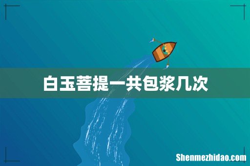 白玉菩提一共包浆几次