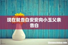 现在就告白安安向小玉父亲告白