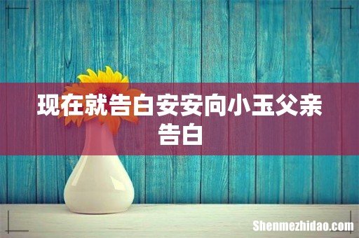 现在就告白安安向小玉父亲告白