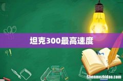坦克300最高速度