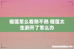 榴莲怎么看熟不熟 榴莲太生剥开了怎么办