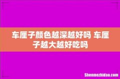 车厘子颜色越深越好吗 车厘子越大越好吃吗