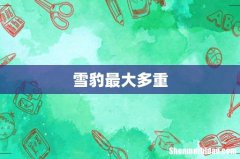 雪豹最大多重