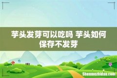 芋头发芽可以吃吗 芋头如何保存不发芽
