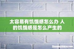 太容易有饥饿感怎么办 人的饥饿感是怎么产生的