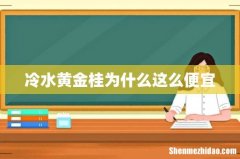 冷水黄金桂为什么这么便宜