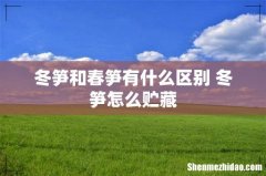 冬笋和春笋有什么区别 冬笋怎么贮藏