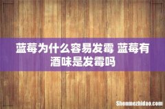 蓝莓为什么容易发霉 蓝莓有酒味是发霉吗