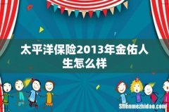 太平洋保险2013年金佑人生怎么样