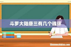 斗罗大陆唐三有几个魂环