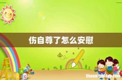 伤自尊了怎么安慰