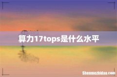 算力17tops是什么水平