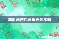 羊肚菌菇包要每天喷水吗